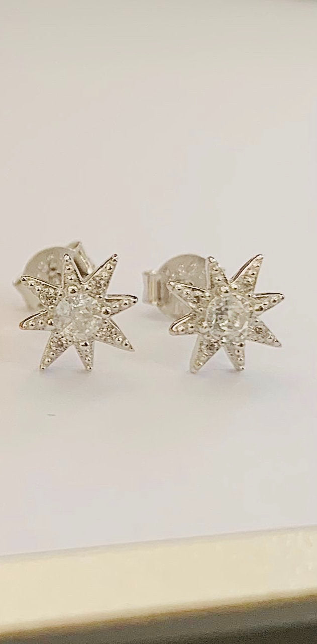 ORECCHINI POLAR ARGENTO