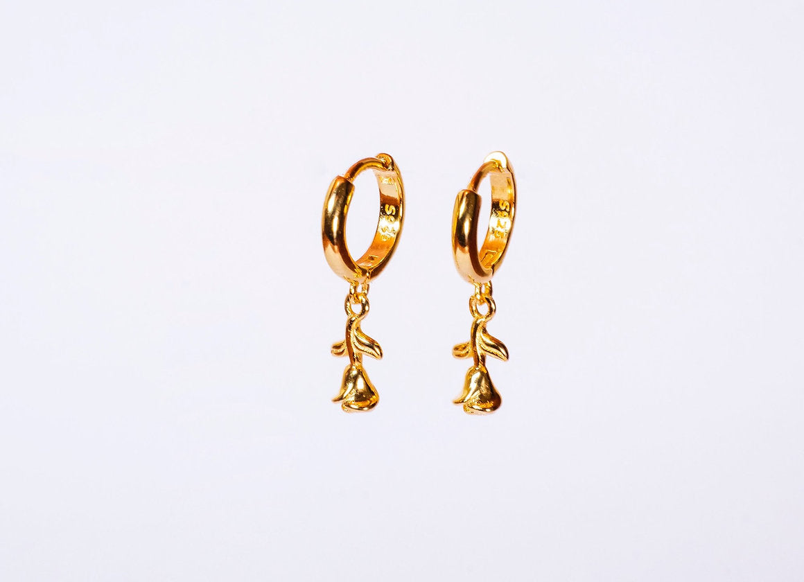 HOOPS RINASCITA PLACCATO ORO