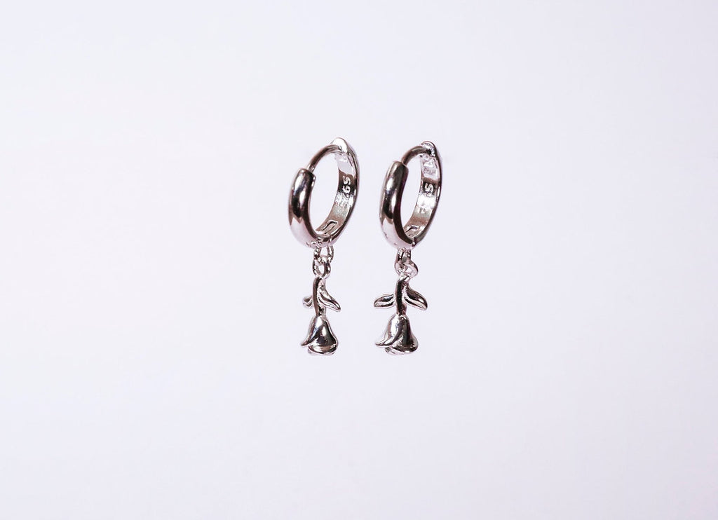 HOOPS RINASCITA ARGENTO