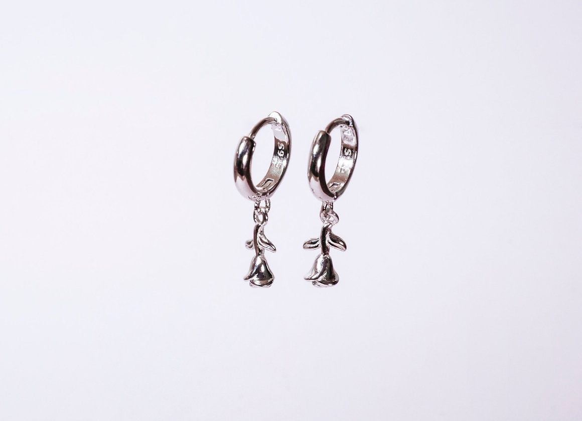HOOPS RINASCITA ARGENTO