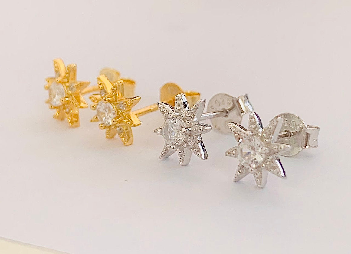 ORECCHINI POLAR ARGENTO
