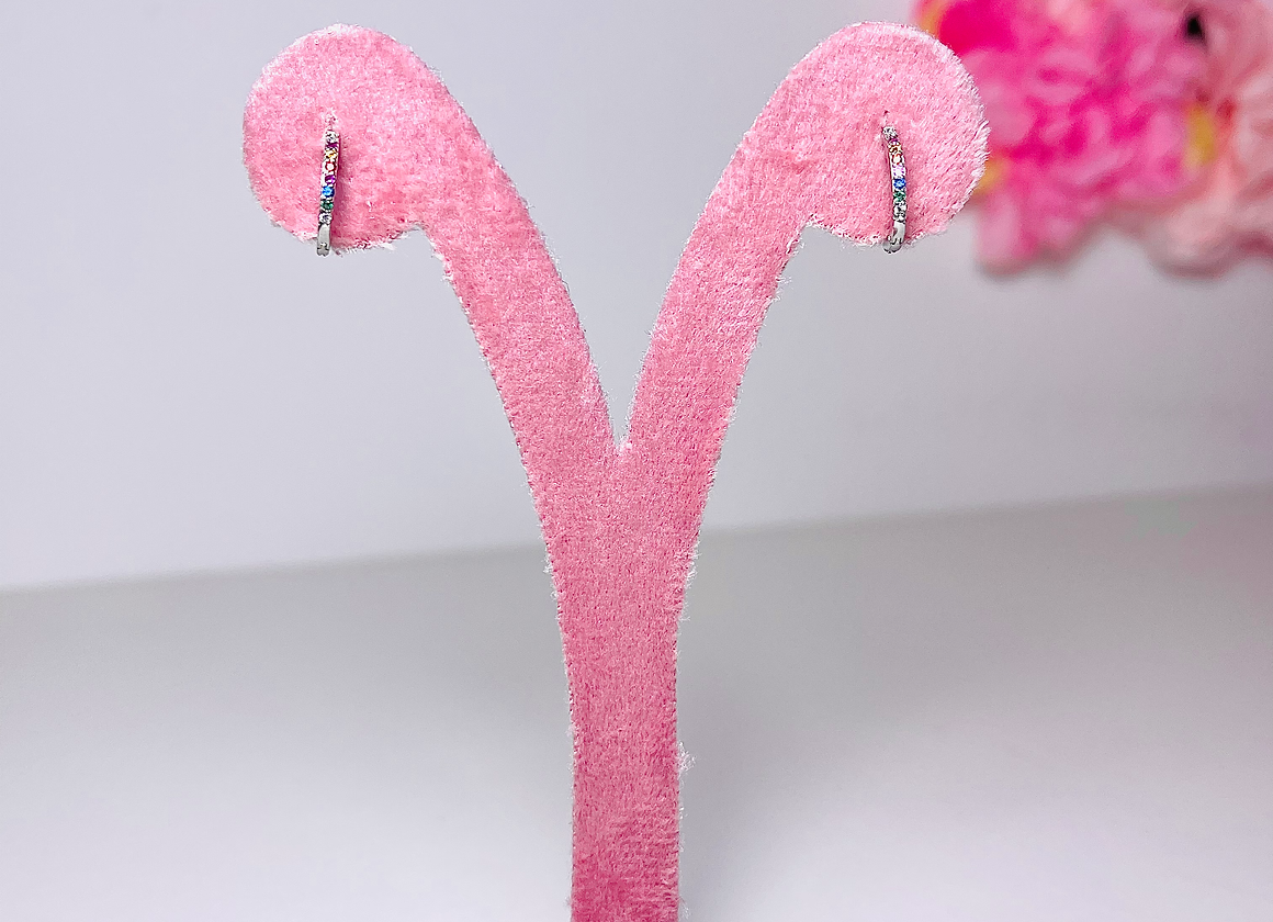 HOOPS CLASSICO RAINBOW ARGENTO SINGOLO